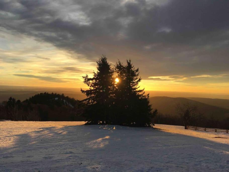 Ferme De Ma Grand-Mere Le Haut-du-Them Esterno foto